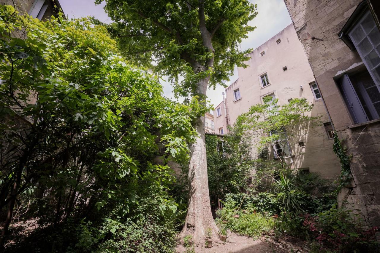 Les Jardins De L'Ecusson - Premiere Conciergerie Daire Montpellier Dış mekan fotoğraf